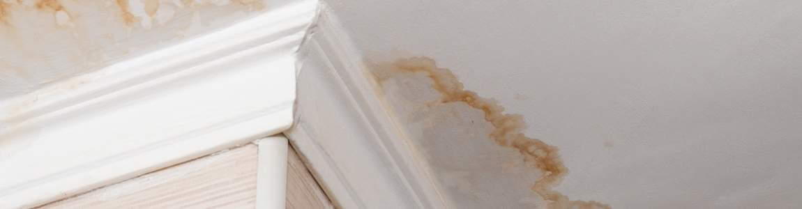 Water Damage Restoration Fort Lauderdale The dangers of water damage and the signs to look for