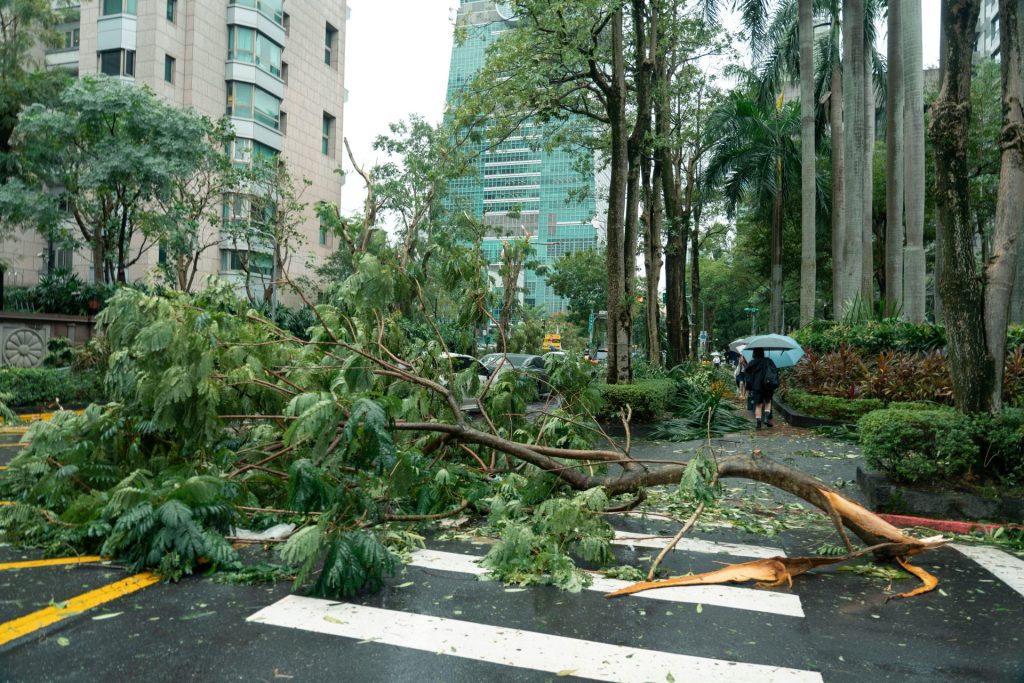 Debris from typhoon damage including fallen trees on a city street in Taipei, Taiwan.