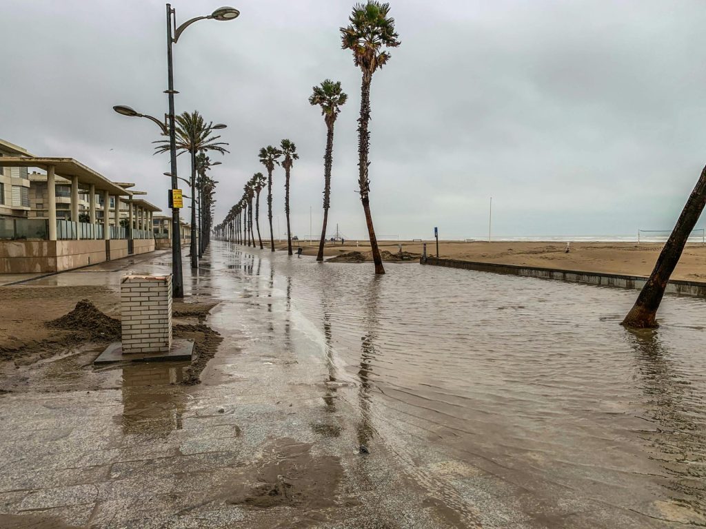 Flooded promenade with palm trees and beach under overcast skies.