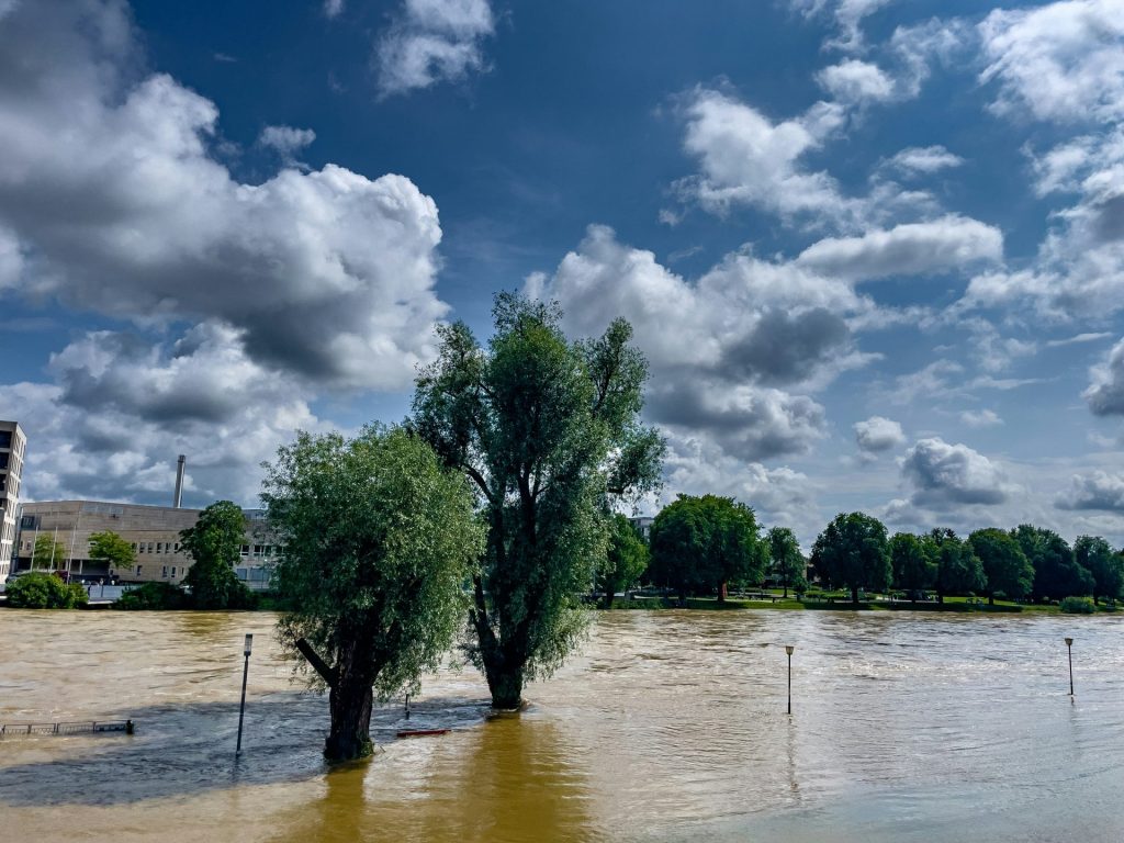 a flooded area with a tree in the middle of it