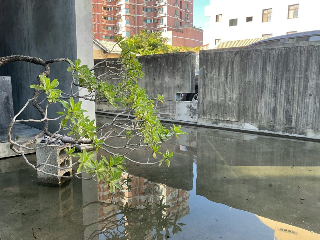 a tree that is sitting in the water