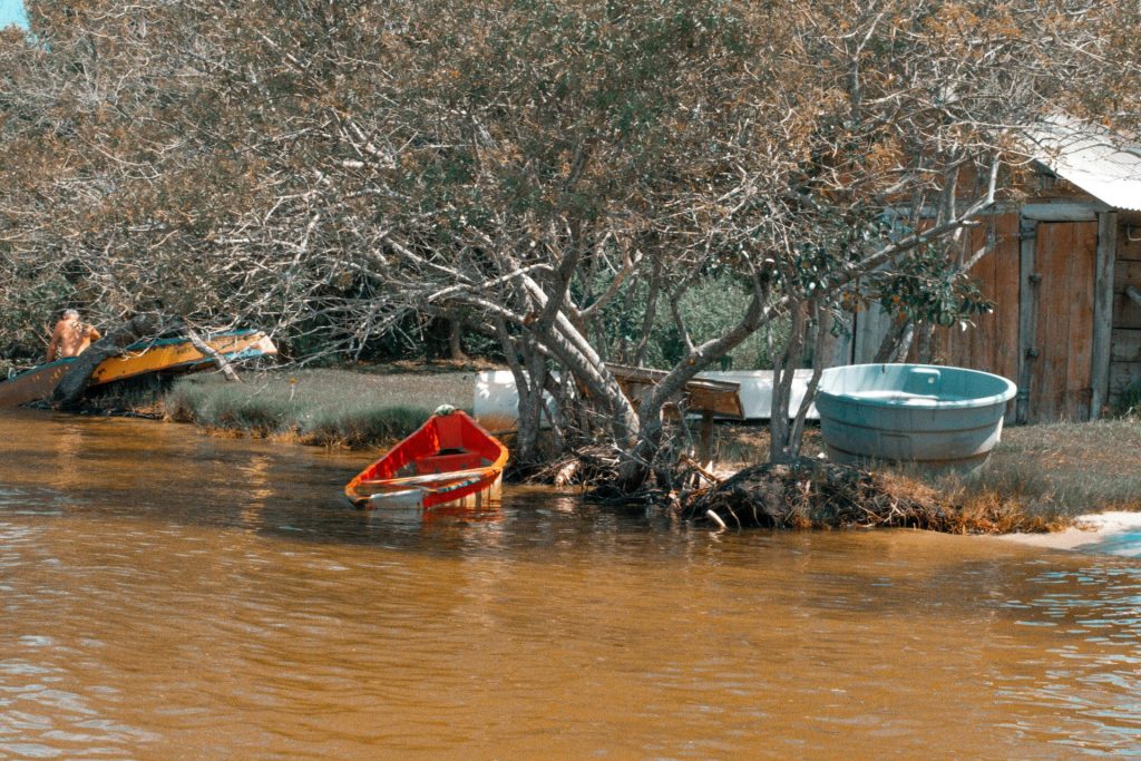 a boat is in the water next to a tree